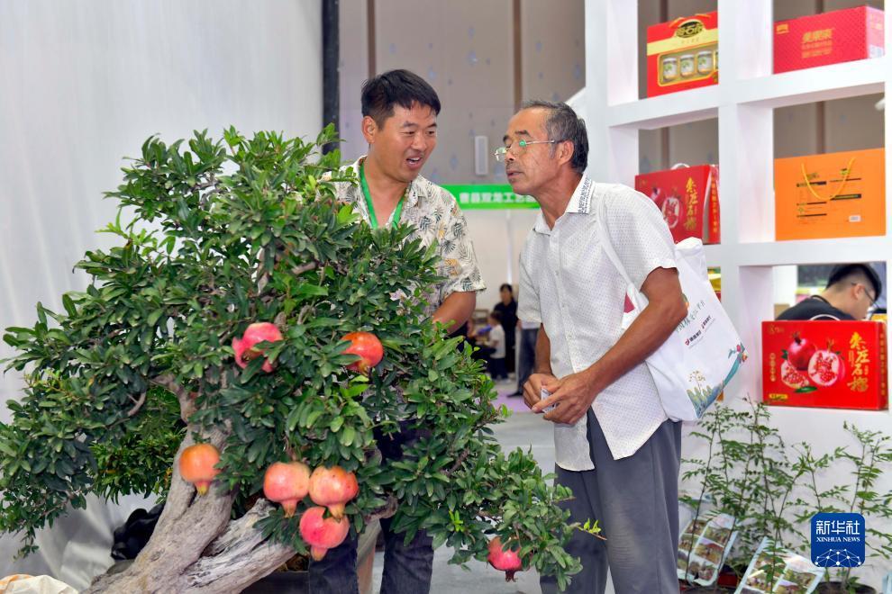 百乐城赌城